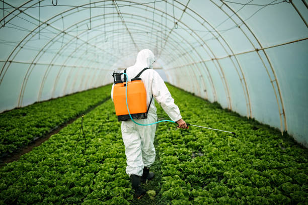 Best Exterminator Services  in Chaparral, NM