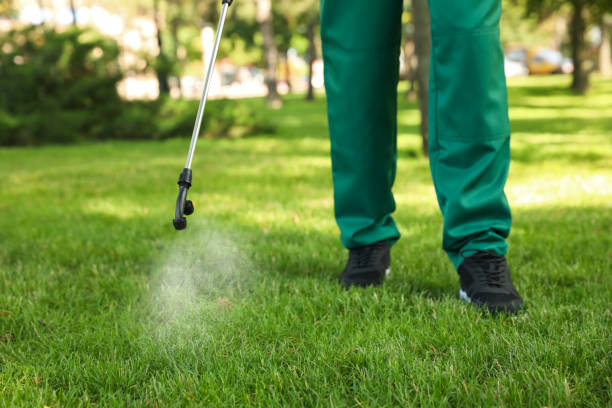 Best Residential Pest Control  in Chaparral, NM