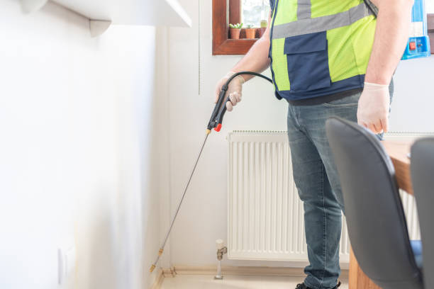Best Local Pest Control Services  in Chaparral, NM