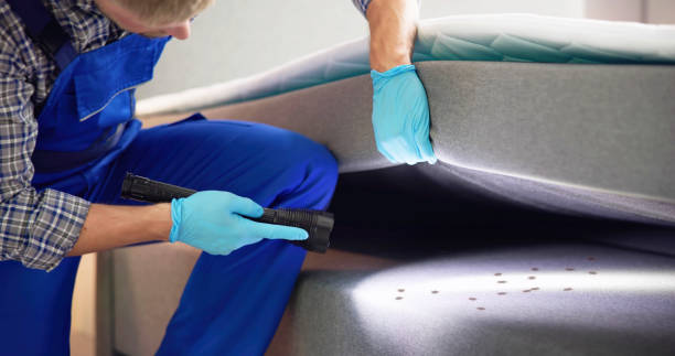 Best Exterminator Services  in Chaparral, NM