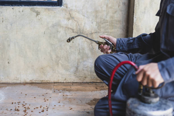 Best Pest Control Near Me  in Chaparral, NM